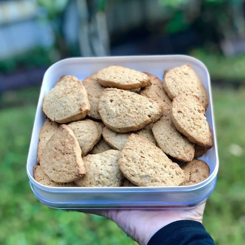 Comidas para niños