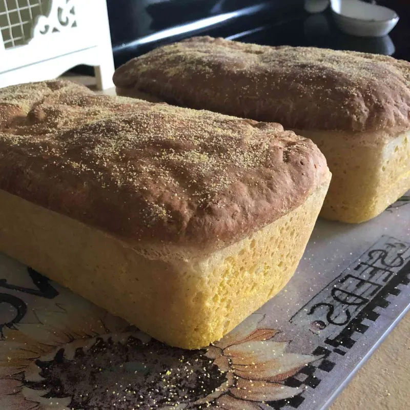 Comidas para niños