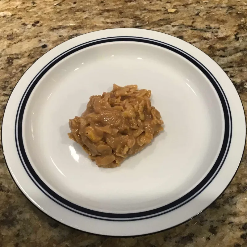 Comidas para niños