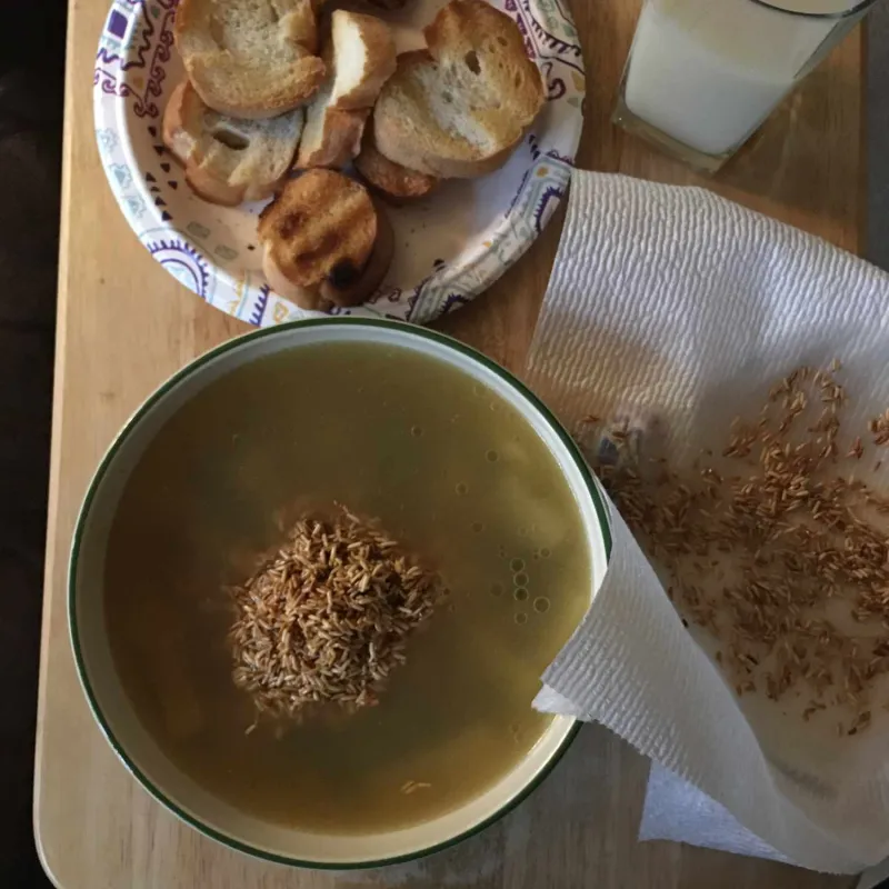 Comidas para niños