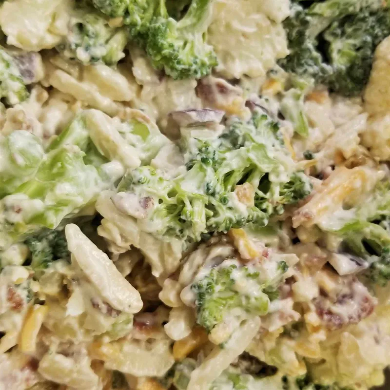 Comidas para niños