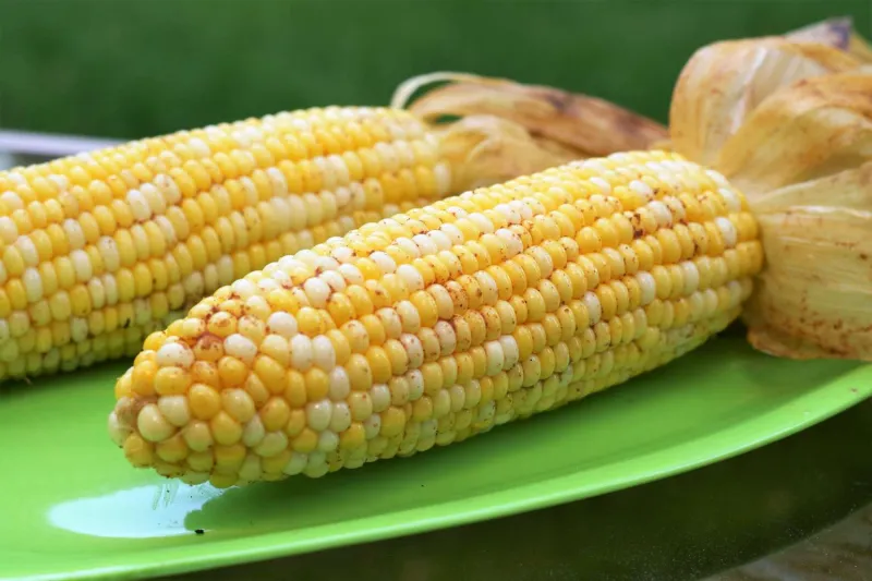 Comidas para niños