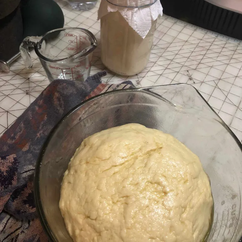 Comidas para niños