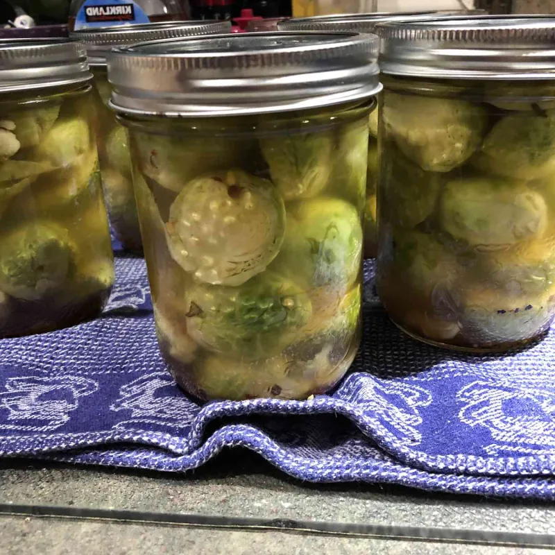 Comidas para niños