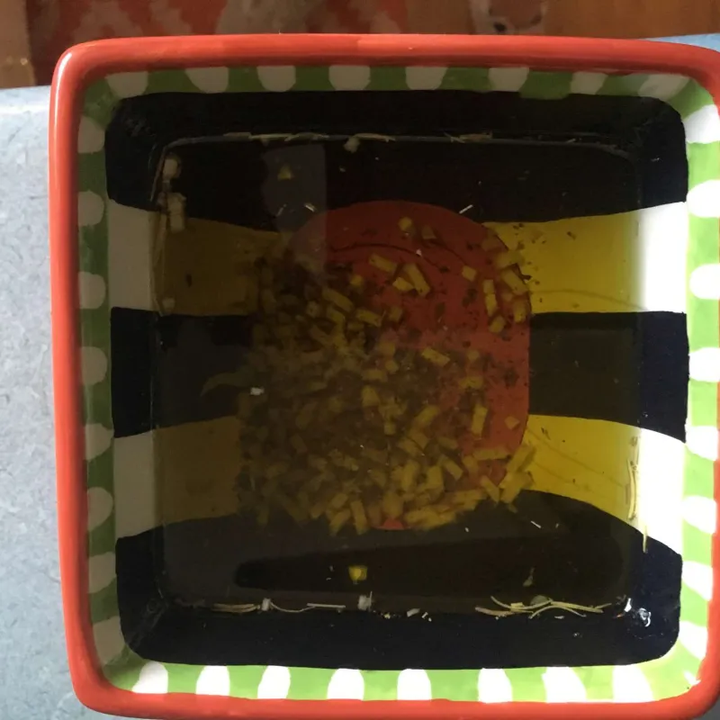 Comidas para niños