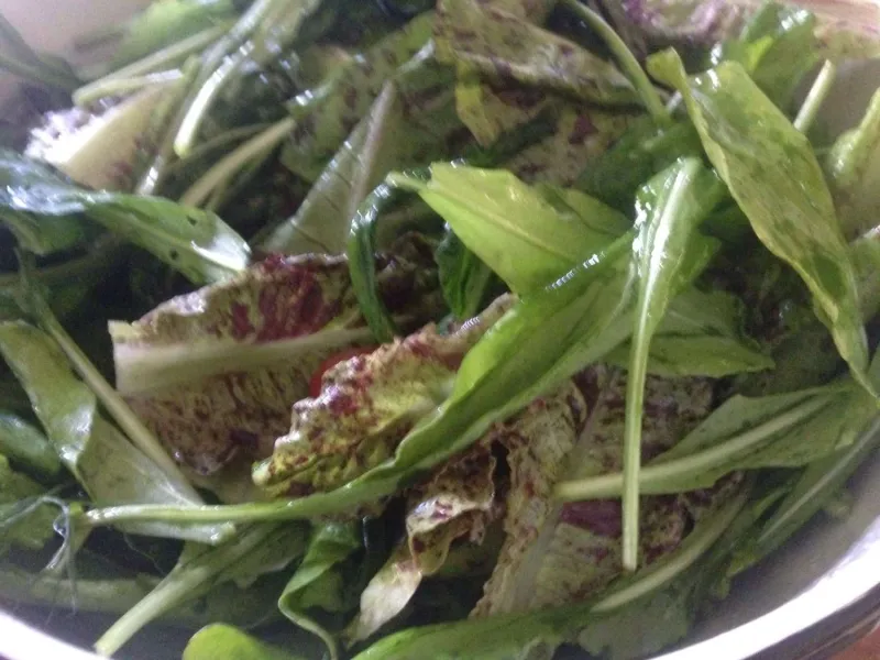 Comidas para niños