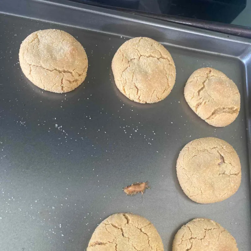 Comidas para niños
