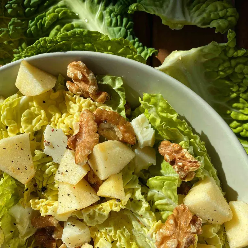 Comidas para niños