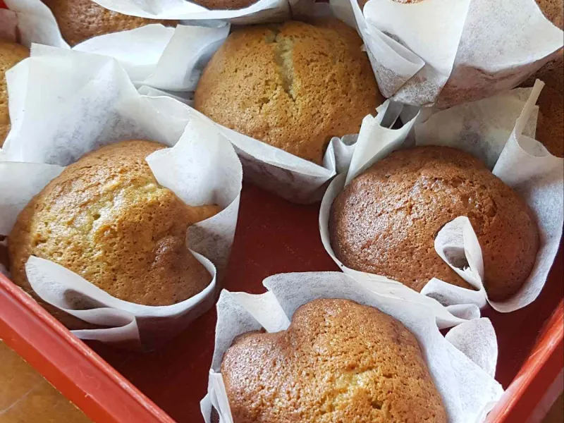Comidas para niños