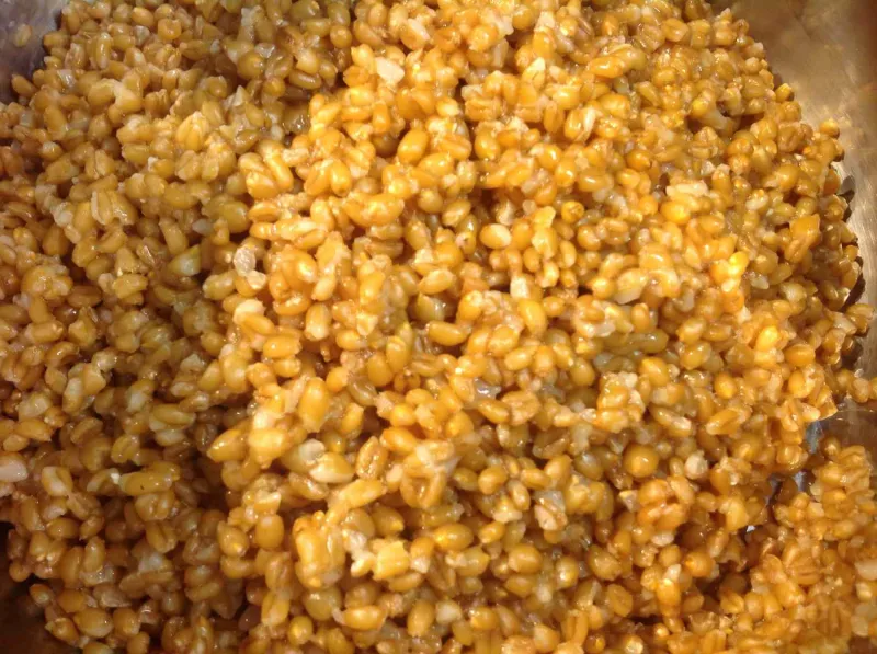 Comidas para niños