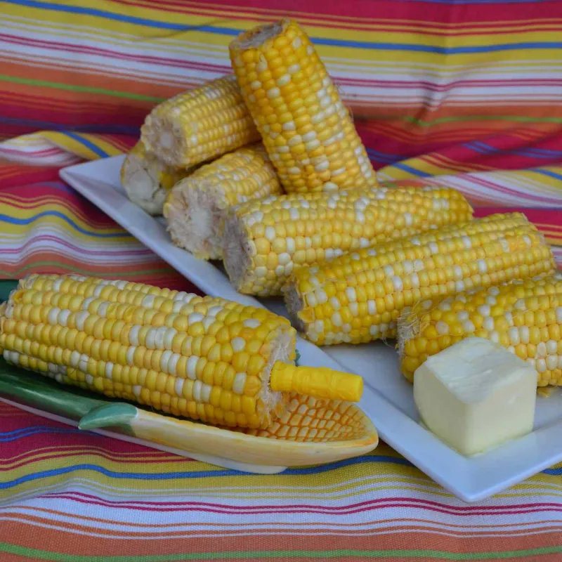 Comidas para niños