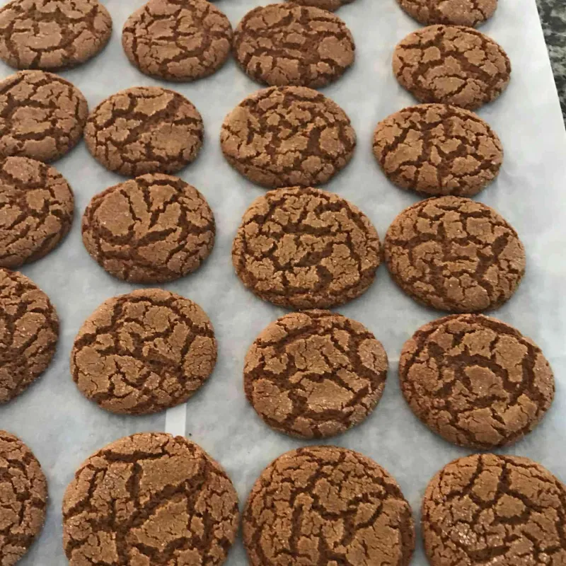 Comidas para niños