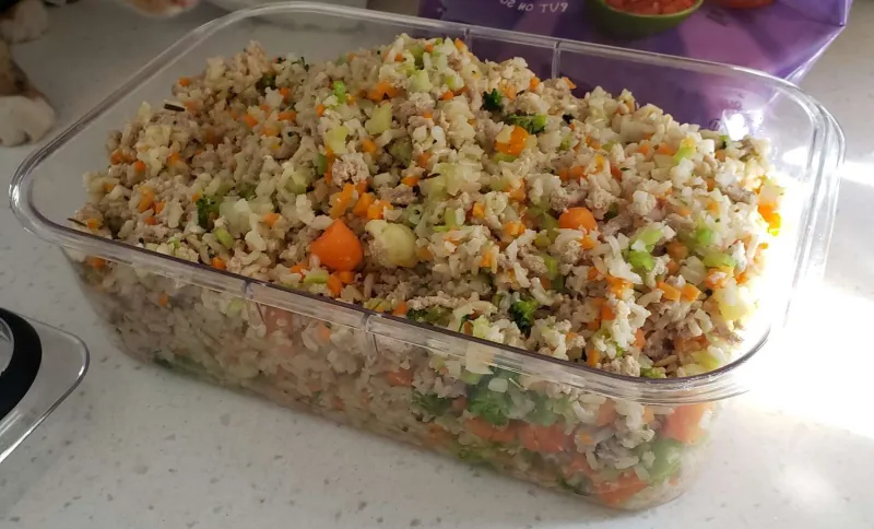 Comidas para niños